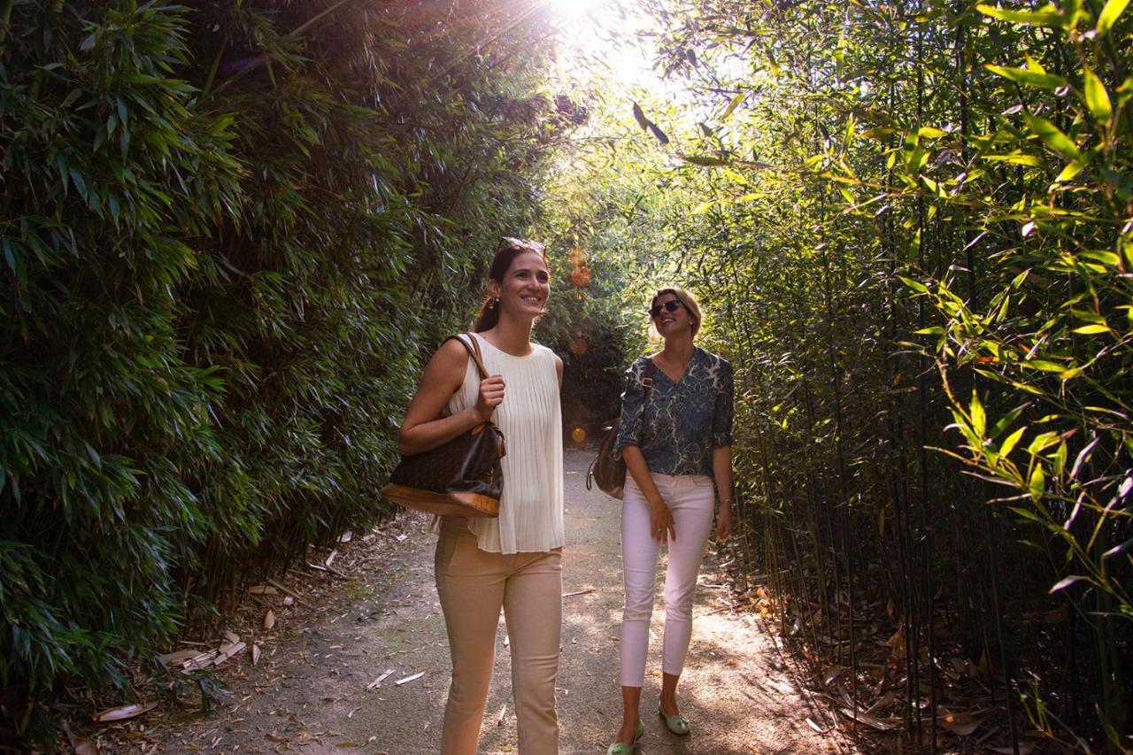 Grand Hotel Salsomaggiore Salsomaggiore Terme Esterno foto Visitors walking through the bamboo forest